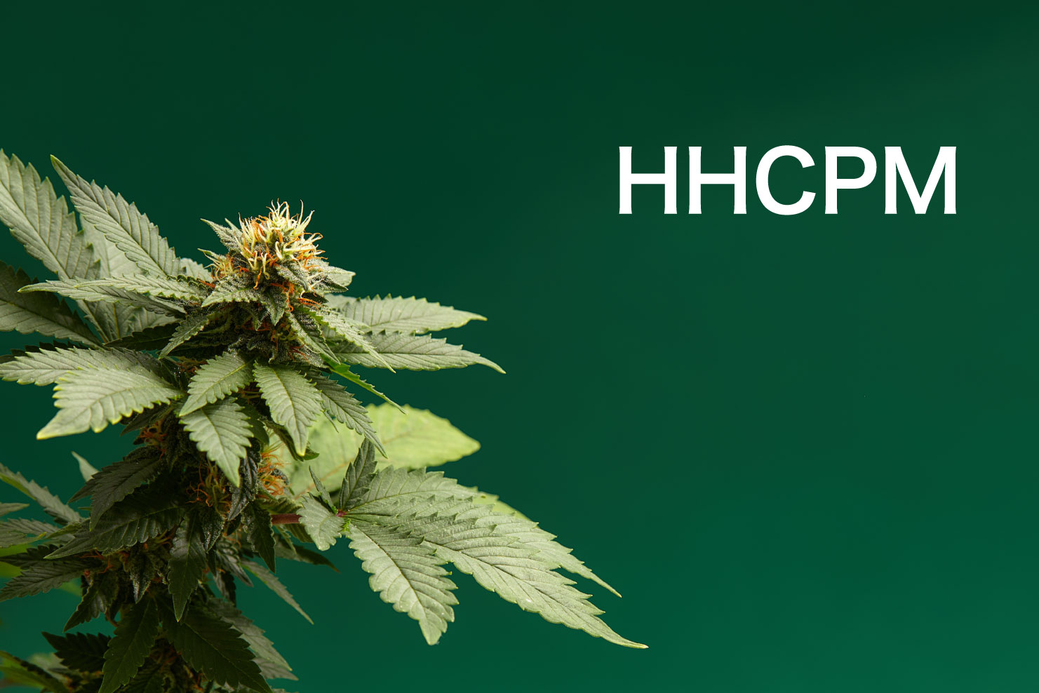 HHCとは一体何なのでしょうか?